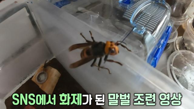 생방송 투데이