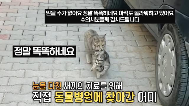 생방송 투데이