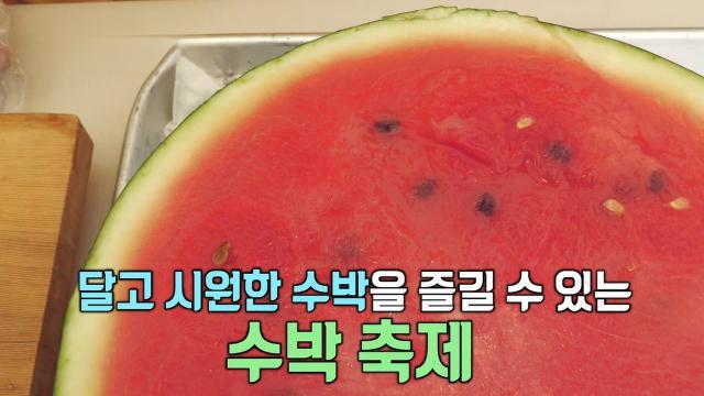 생방송 투데이