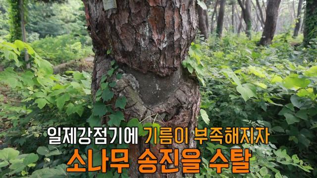 생방송 투데이