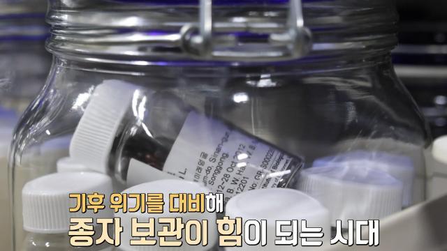 생방송 투데이