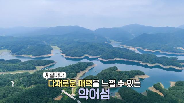 생방송 투데이