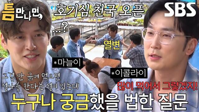 틈만나면,