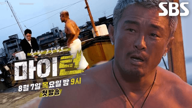 마이턴