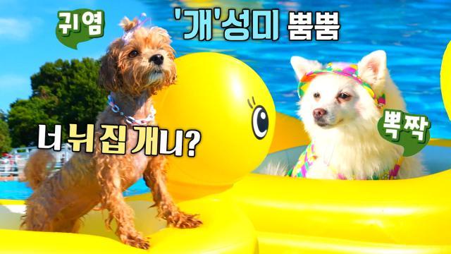생방송 투데이