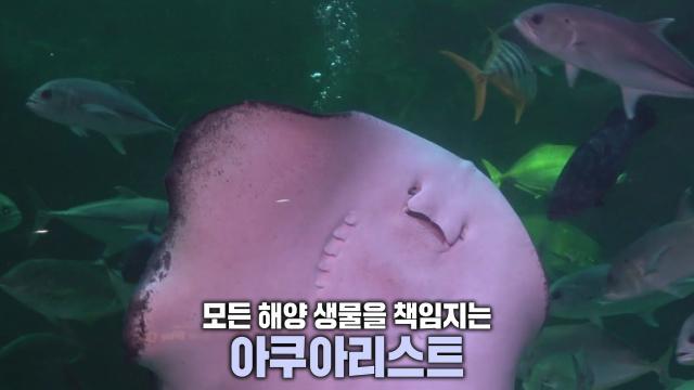 생방송 투데이