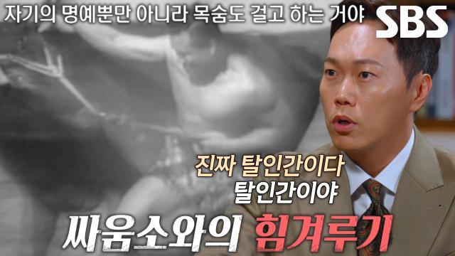 꼬리에 꼬리를 무는 그날 이야기