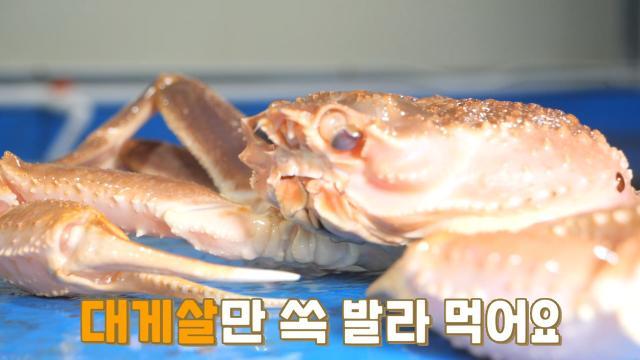 생방송 투데이