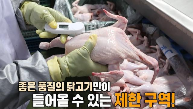 생방송 투데이