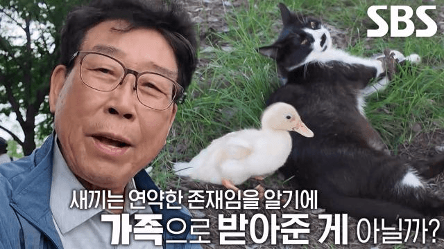 TV 동물농장