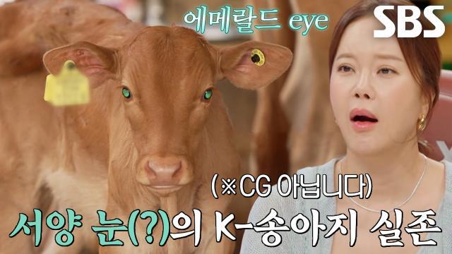 와!진짜? 세상에 이런일이