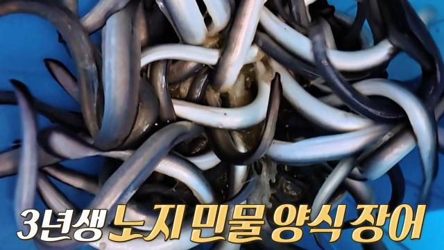 생방송 투데이