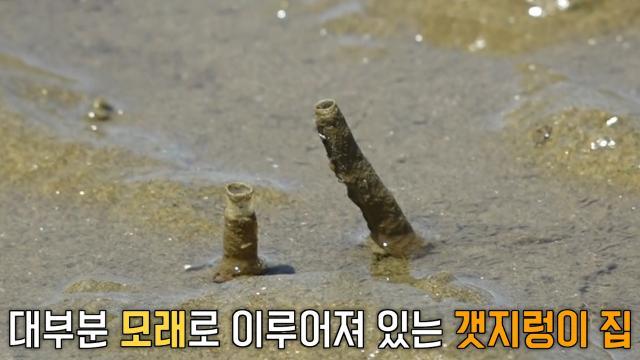 생방송 투데이