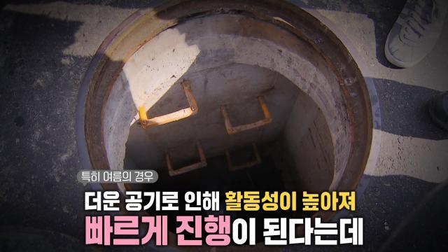 생방송 투데이