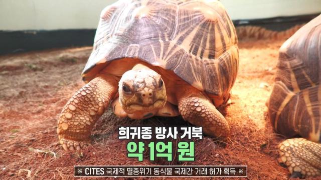 생방송 투데이