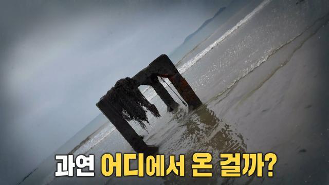 생방송 투데이