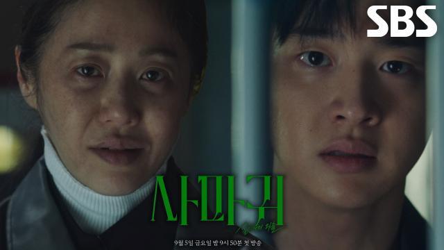 사마귀 : 살인자의 외출