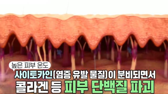 생방송 투데이