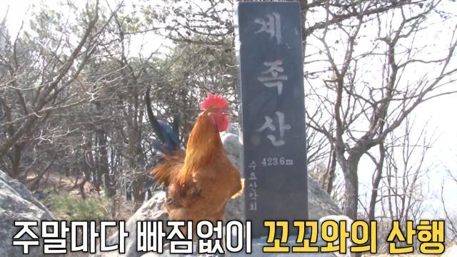생방송 투데이