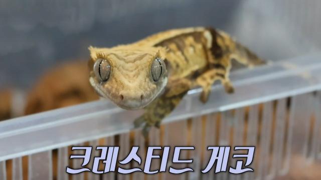 생방송 투데이