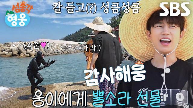 섬총각 영웅