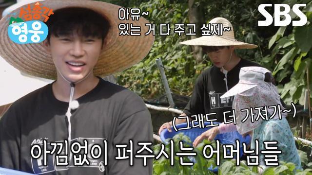 섬총각 영웅