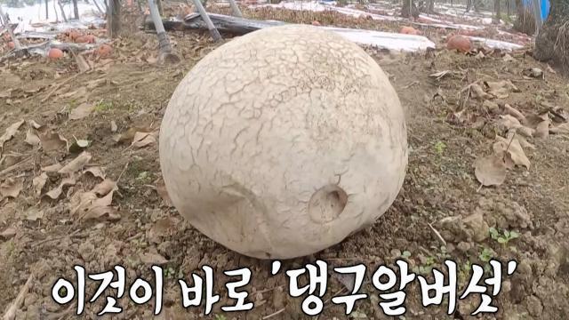생방송 투데이