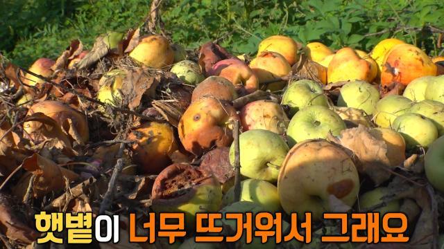 생방송 투데이