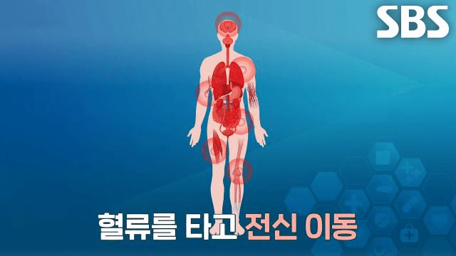 좋은아침