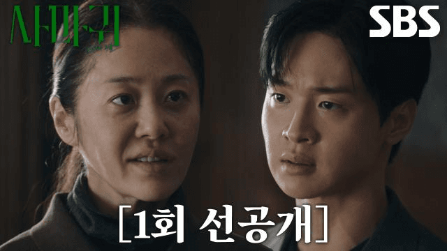 사마귀 : 살인자의 외출