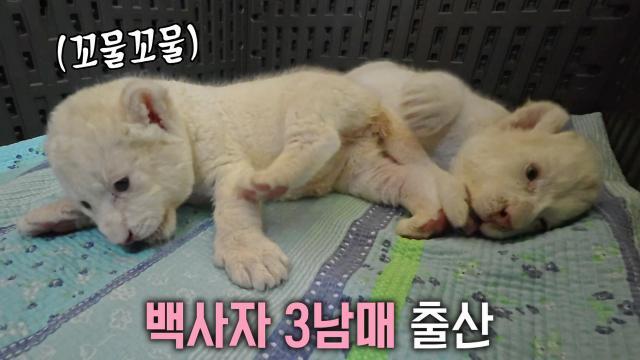 생방송 투데이