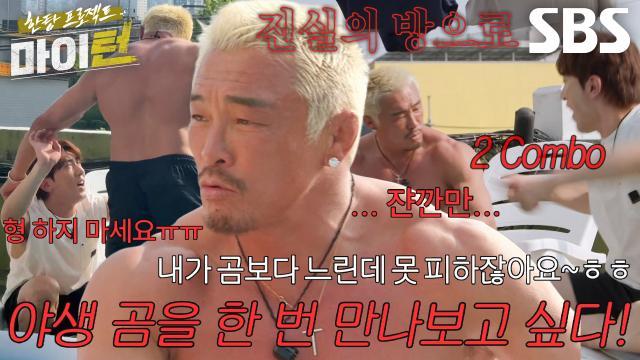 마이턴