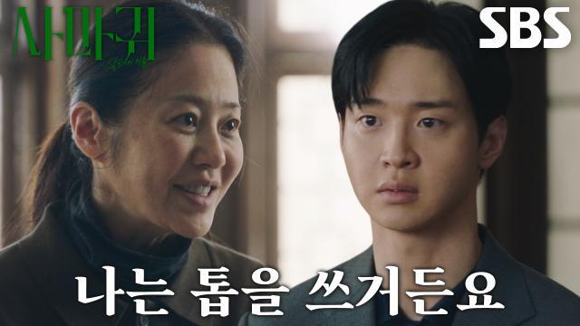 사마귀 : 살인자의 외출