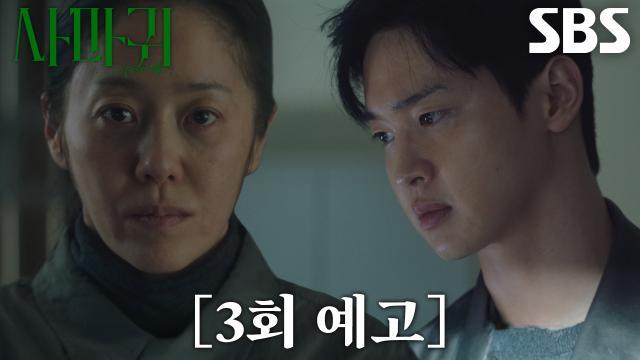 사마귀 : 살인자의 외출