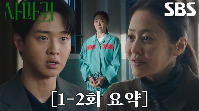 사마귀 : 살인자의 외출