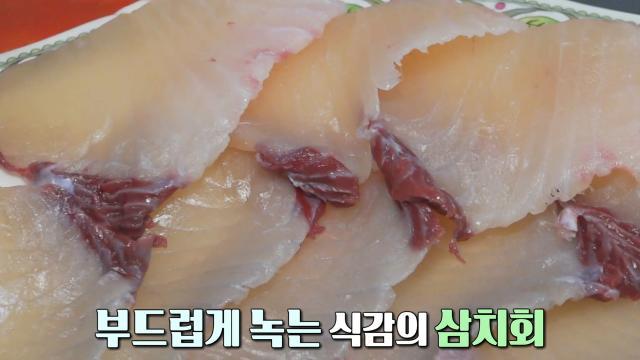 생방송 투데이