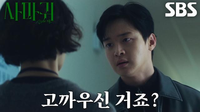 사마귀 : 살인자의 외출