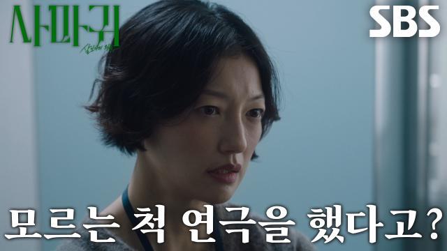 사마귀 : 살인자의 외출