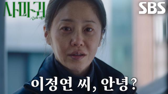 사마귀 : 살인자의 외출