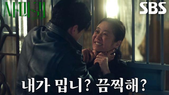 사마귀 : 살인자의 외출