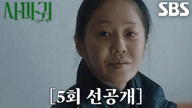사마귀 : 살인자의 외출