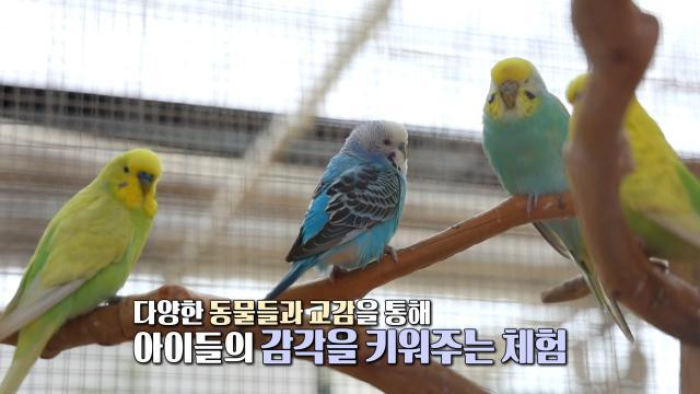 생방송 투데이