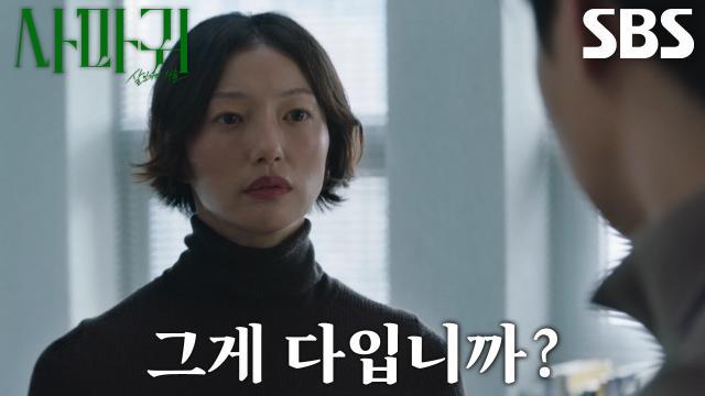 사마귀 : 살인자의 외출