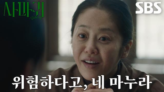 사마귀 : 살인자의 외출