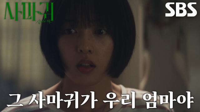 사마귀 : 살인자의 외출