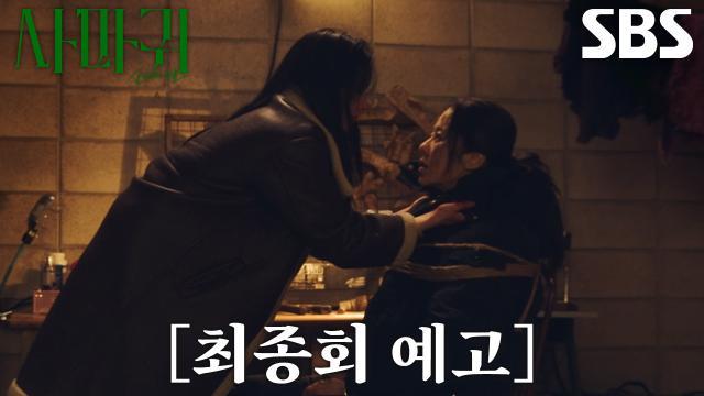 사마귀 : 살인자의 외출