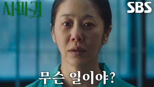 사마귀 : 살인자의 외출