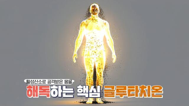 세 개의 시선
