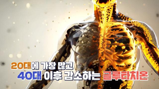세 개의 시선