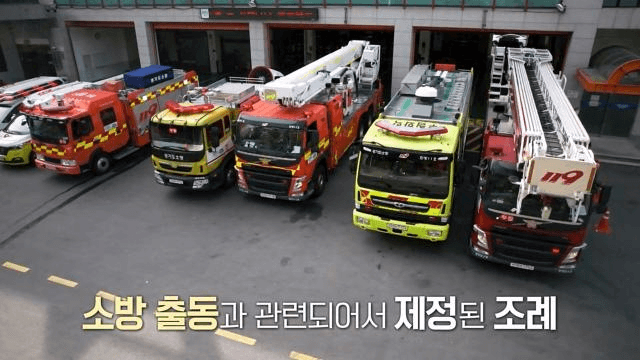 일요 특선 다큐멘터리